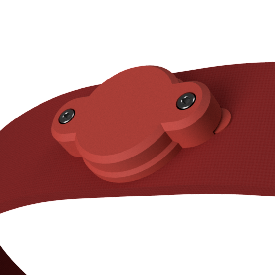 Dog Collar | Airtag Case